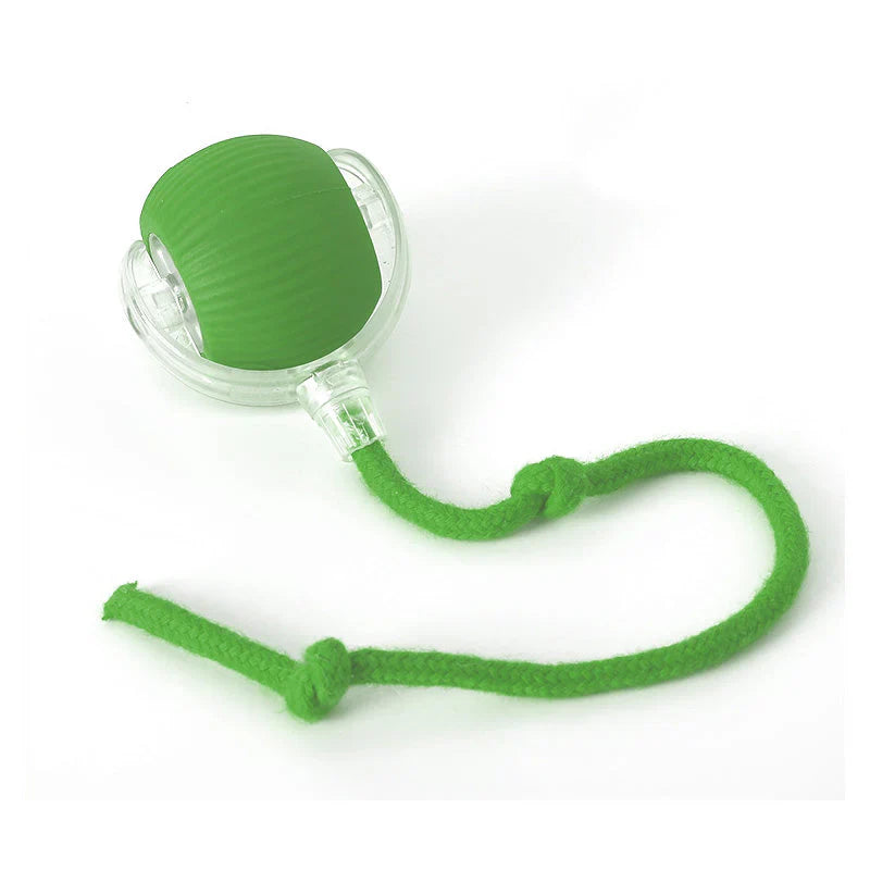 Balle Interactive pour Chats - Minseh