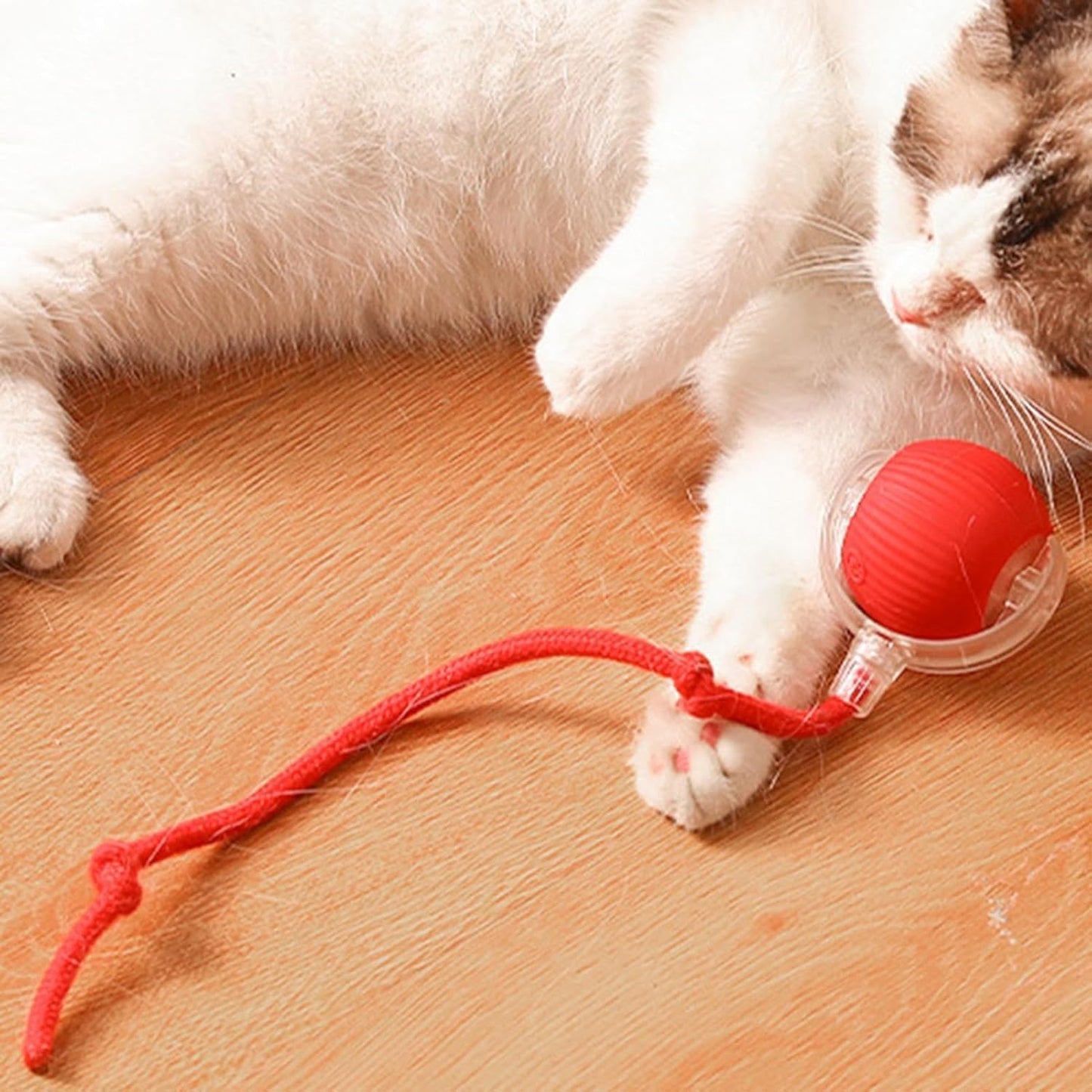 Balle Interactive pour Chats - Minseh