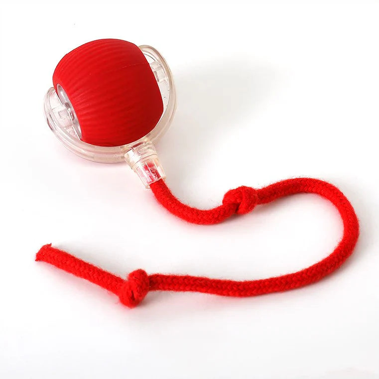 Balle Interactive pour Chats - Minseh