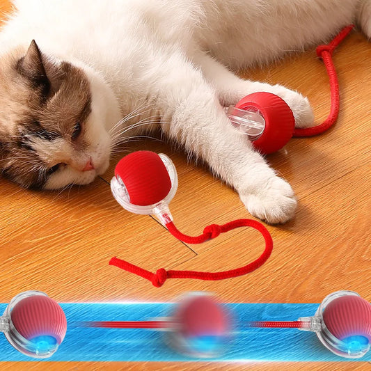 Balle Interactive pour Chats - Minseh