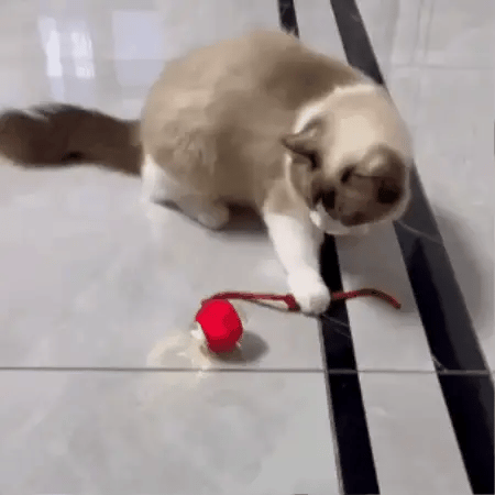 Balle Interactive pour Chats - Minseh